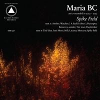 Produktbild: Spike Field