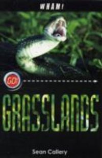 Produktbild: Wham! Grasslands