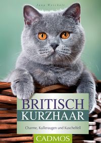 Produktbild: Britisch Kurzhaar