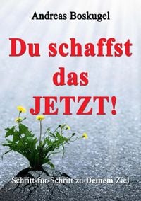 Produktbild: DU schaffst das JETZT!