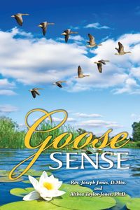 Produktbild: Goose Sense