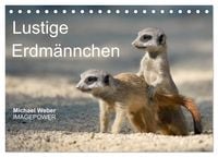 Produktbild: Lustige Erdm&auml;nnchen (Tischkalender 2027 DIN A5 quer), CALVENDO Monatskalender