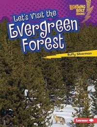 Produktbild: Let's Visit the Evergreen Forest
