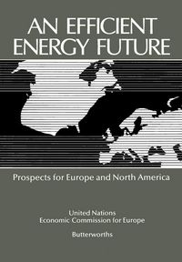 Produktbild: An Efficient Energy Future