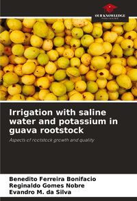 Produktbild: Irrigation with saline water and potassium in guava rootstock