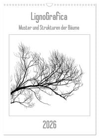 Produktbild: LignoGrafica - Muster und Strukturen der B&auml;ume (Wandkalender 2026 DIN A3 hoch), CALVENDO Monatskalender