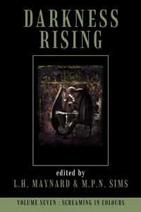 Produktbild: Darkness Rising 7