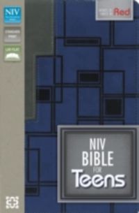 Produktbild: Niv Bible for Teens Charcoal/blue Duo Tone