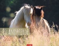 Produktbild Islandpferde Kalender 2026