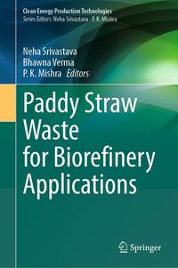 Produktbild: Paddy Straw Waste for Biorefinery Applications