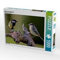 Produktbild: CALVENDO Puzzle Meisen im Gespr&auml;ch 1000 Teile Puzzle quer | 1000 Teile Lege-Gr&ouml;&szlig;e 64 &times; 48 cm Foto-Puzzle f&uuml;r gl&uuml;ckliche Stunden