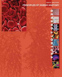 Produktbild: Principles of Human Anatomy