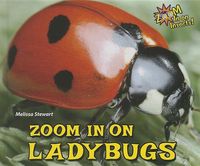 Produktbild: Zoom in On Ladybugs