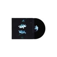 Produktbild: Nocturne