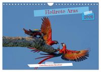 Produktbild: Hellrote Aras (Wandkalender 2026 DIN A4 quer), CALVENDO Monatskalender