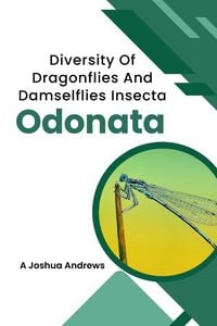 Produktbild: Diversity Of Dragonflies And Damselflies Insecta Odonata