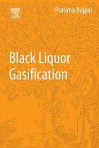 Produktbild: Black Liquor Gasification