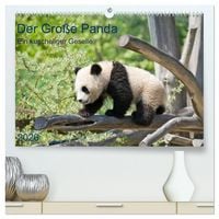 Produktbild: Der Gro&szlig;e Panda Ein kuscheliger Geselle (hochwertiger Premium Wandkalender 2026 DIN A2 quer), Kunstdruck in Hochglanz