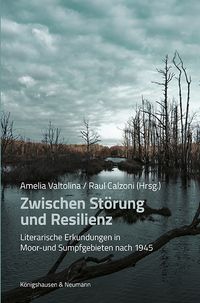 Produktbild: Zwischen St&ouml;rung und Resilienz