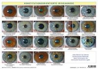 Produktbild: Konstitutionsorientierte Irisdiagnose