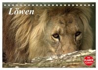 Produktbild: L&ouml;wen (Tischkalender 2027 DIN A5 quer), CALVENDO Monatskalender