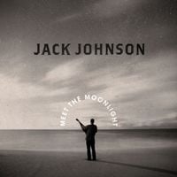 Produktbild: Meet The Moonlight (180g Vinyl)