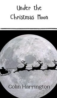 Produktbild: Under the Christmas Moon
