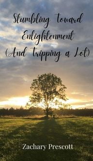 Produktbild: Stumbling Toward Enlightenment (And Tripping a Lot)
