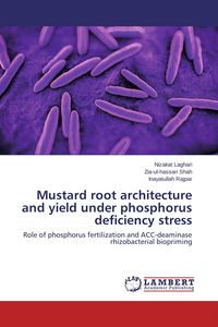Produktbild: Mustard root architecture and yield under phosphorus deficiency stress