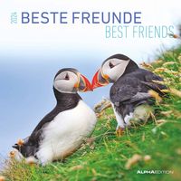 Bild vom Artikel Beste Freunde 2024 - Broschürenkalender 30x30 cm (30x60 geöffnet) - Kalender mit Platz für Notizen - Best Friends - Bildkalender - Wandkalender vom Autor 
