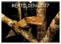 Produktbild: REPTILIEN (Wandkalender 2027 DIN A3 quer), CALVENDO Monatskalender