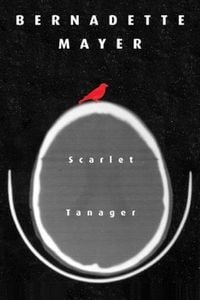 Produktbild: Scarlett Tanager