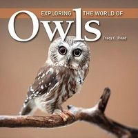 Produktbild: Exploring the World of Owls