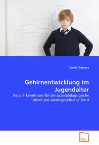 Produktbild: Schnase, C: Gehirnentwicklung im Jugendalter