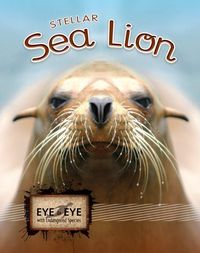 Produktbild: Stellar Sea Lions