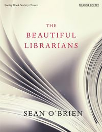 Produktbild: O'Brien, S: Beautiful Librarians