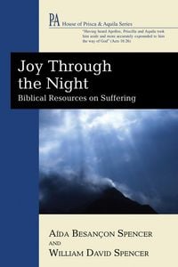 Produktbild: Joy Through the Night