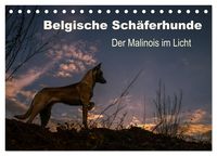 Bild vom Artikel Belgische Schäferhunde - Der Malinois im Licht (Tischkalender 2024 DIN A5 quer), CALVENDO Monatskalender vom Autor Tanja Brandt