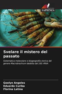 Produktbild: Svelare il mistero del passato