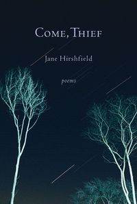 Produktbild: Come, Thief