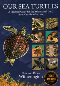 Produktbild: Witherington, B: Our Sea Turtles