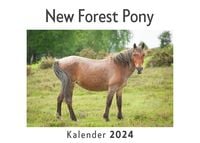 Produktbild: New Forest Pony (Wandkalender 2024, Kalender DIN A4 quer, Monatskalender im Querformat mit Kalendarium, Das perfekte Geschenk)