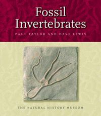 Produktbild: Fossil Invertebrates