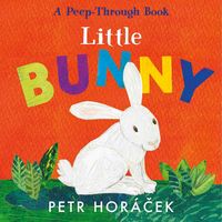 Produktbild: Little Bunny