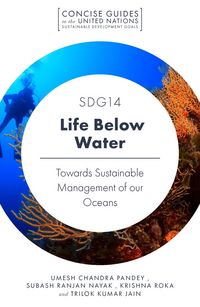 Produktbild: SDG14 - Life Below Water