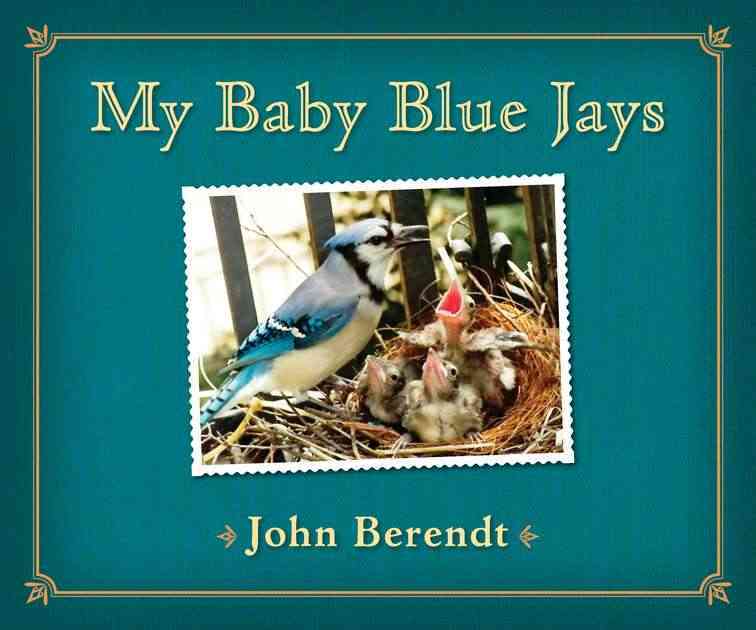 Produktbild: My Baby Blue Jays