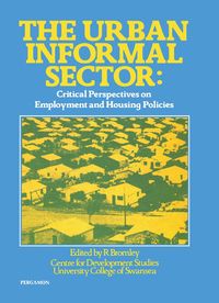 Produktbild: The Urban Informal Sector