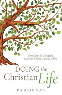 Produktbild: Doing the Christian Life