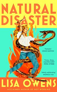 Produktbild: Natural Disaster