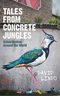 Produktbild: Tales from Concrete Jungles